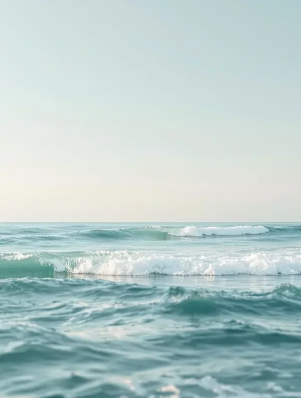 海洋之歌 轮播封面